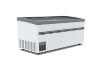 F 2100 BE картинки