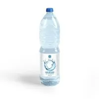 Ледники России — вода 1.5 литра | Без газа (товар в разработке, ожидается поступление) картинки